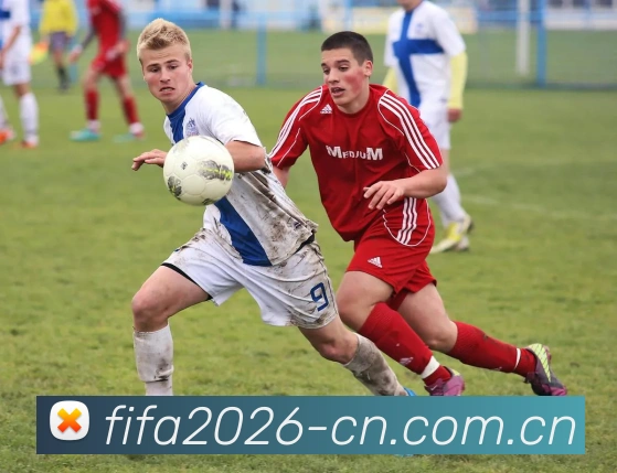 2026世界杯买球APP 高清赛事图